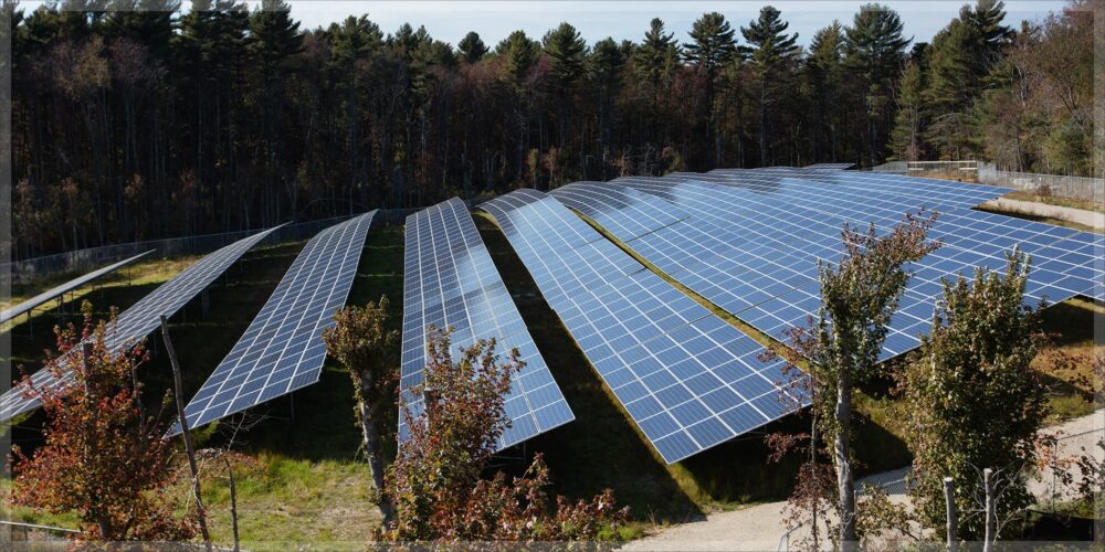 Rows of solar panels are installed on a grassy field, with a forested area in the background under a partly cloudy sky.