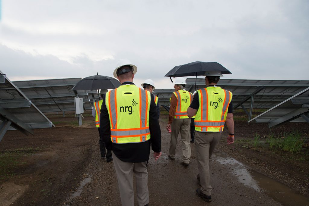 Five people with white hard hats on walking between solar panels