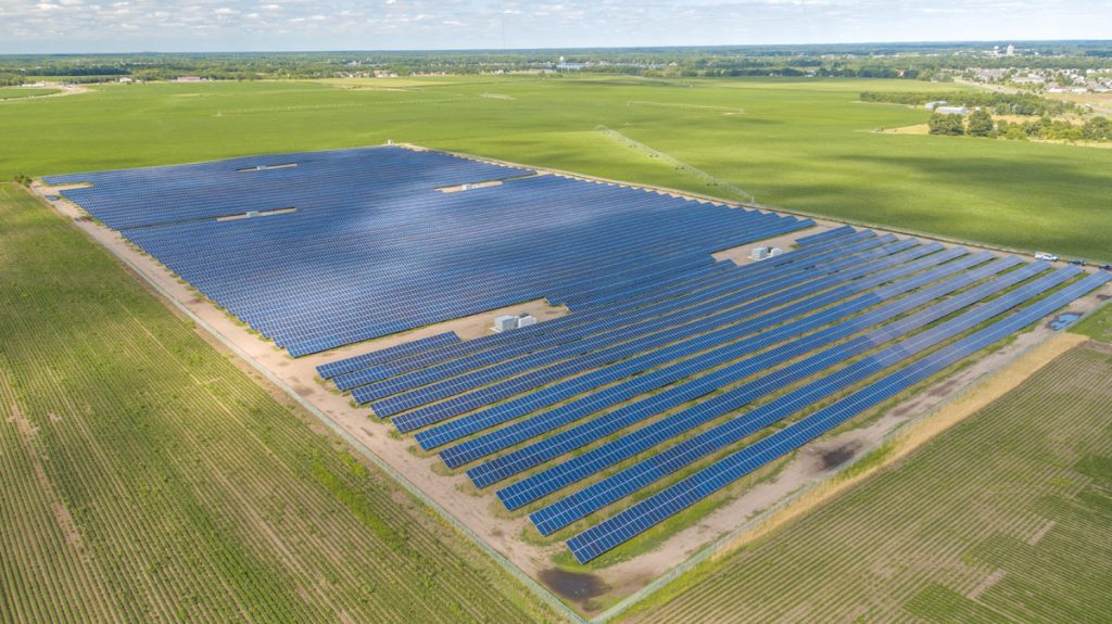 Rows of solar panels in a grass field