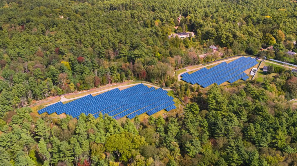 Two community solar fields in a forest