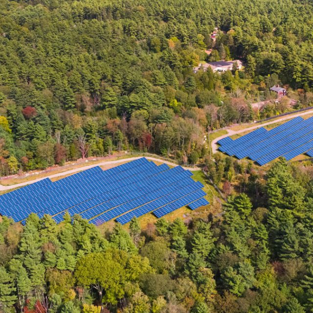 Two community solar fields in a forest