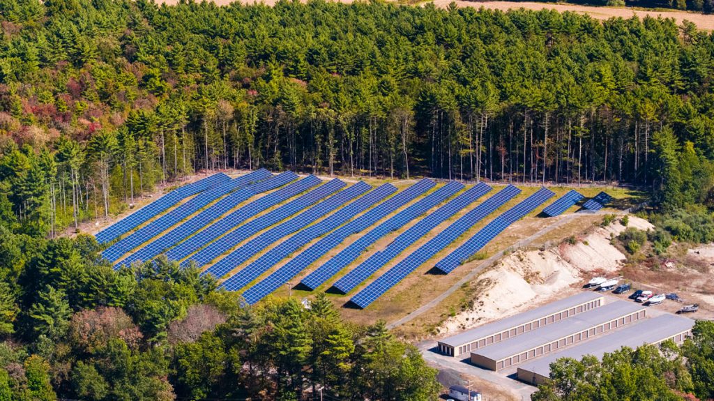 Rows of solar panels from a community solar garden in a grove of trees