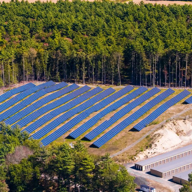 Rows of solar panels from a community solar garden in a grove of trees