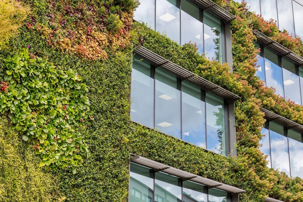 A building with plants growing on the side of the walls