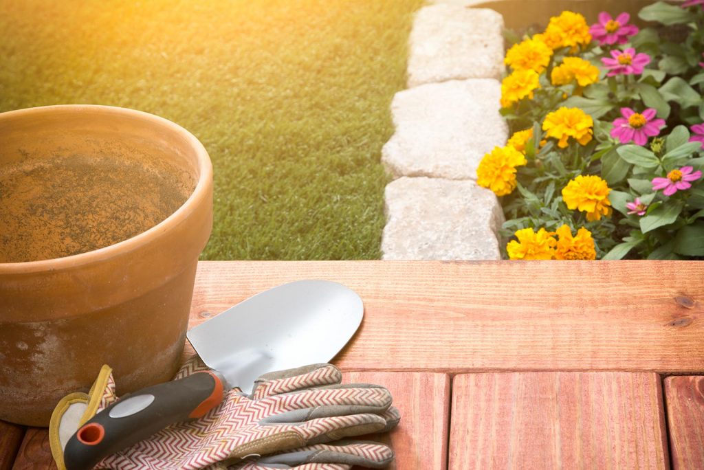 Potting equipment on a table in a yard