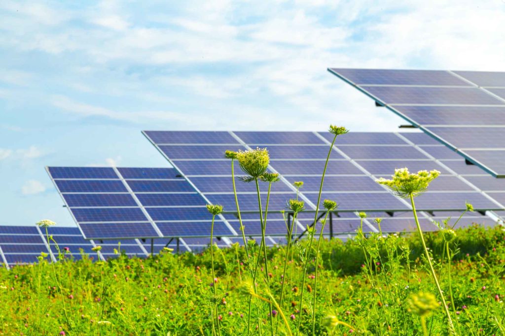 solar panels in a green field with blue sky