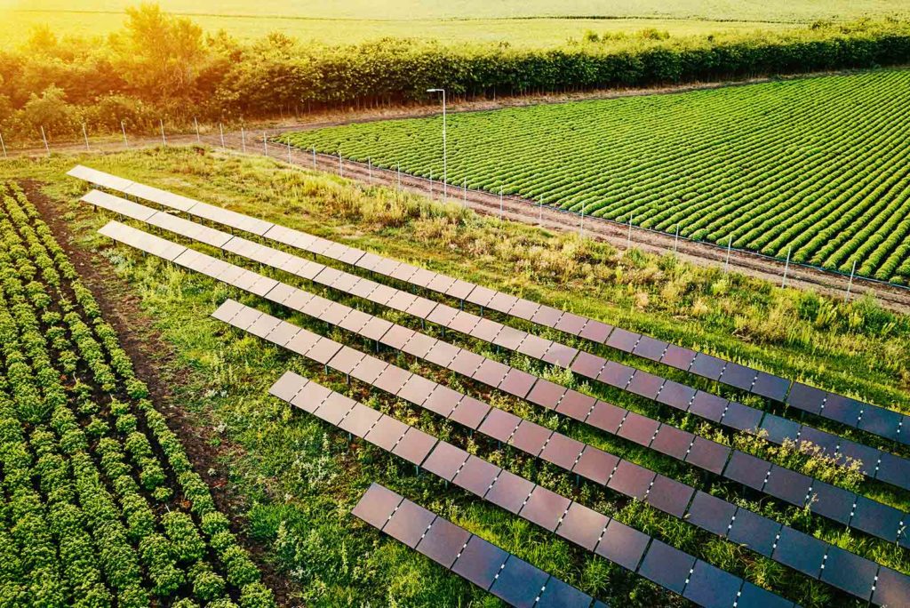 solar farm in the middle of green fields