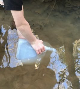 jug of pond water