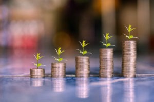 Plants growing from coin towers