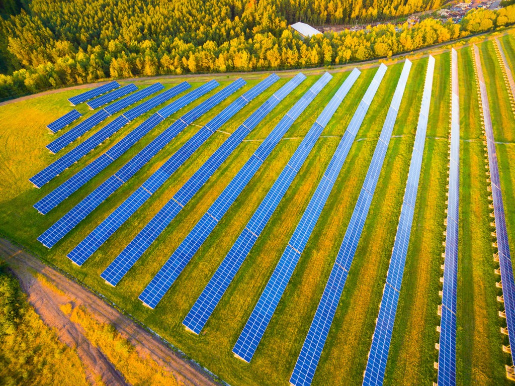 rows of solar panels in a green field