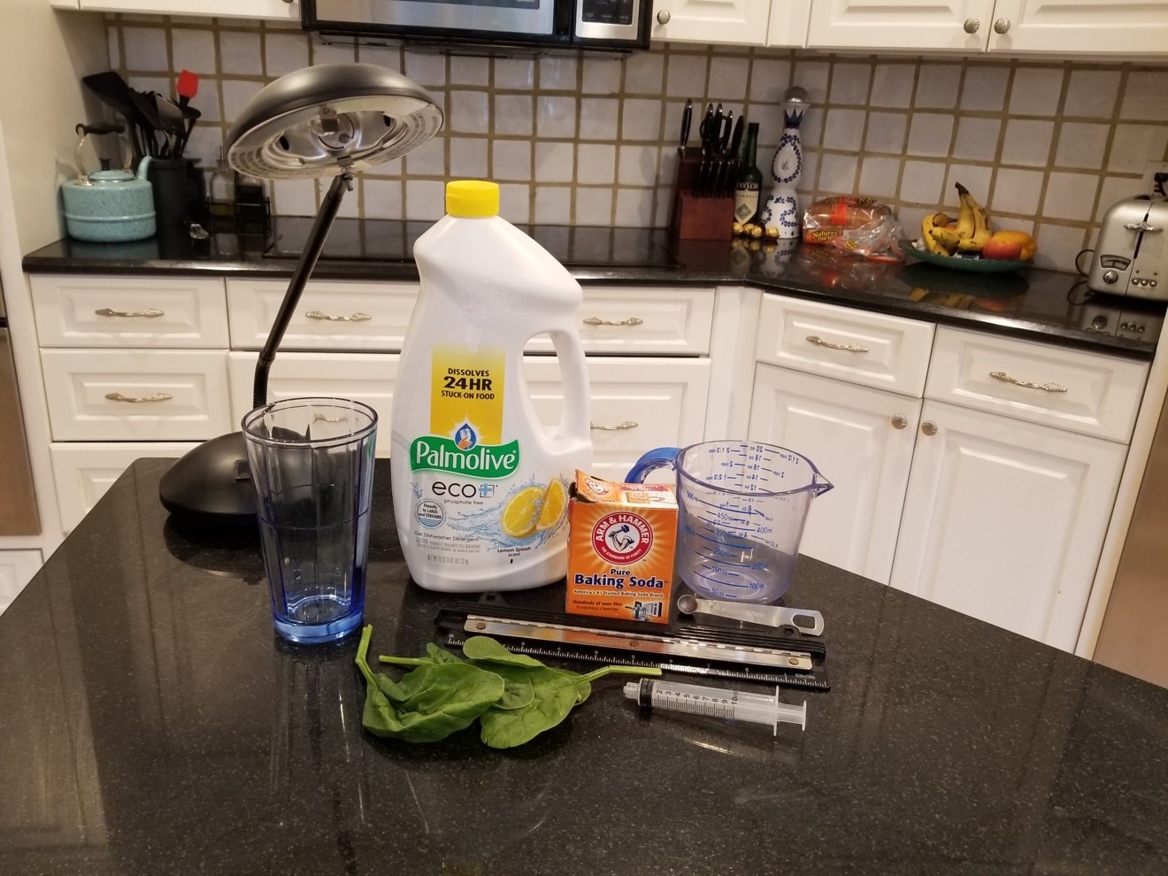 DIY Photosynthesis Experiment Clearway Community Solar