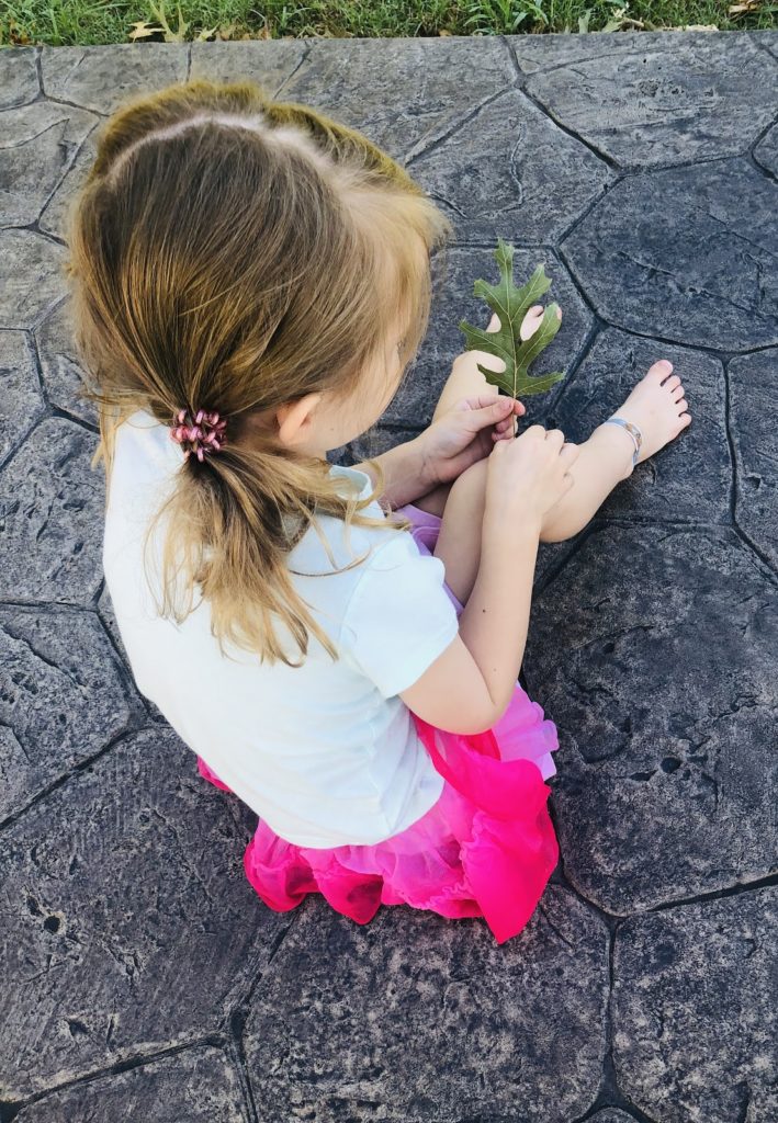 kid with leaf