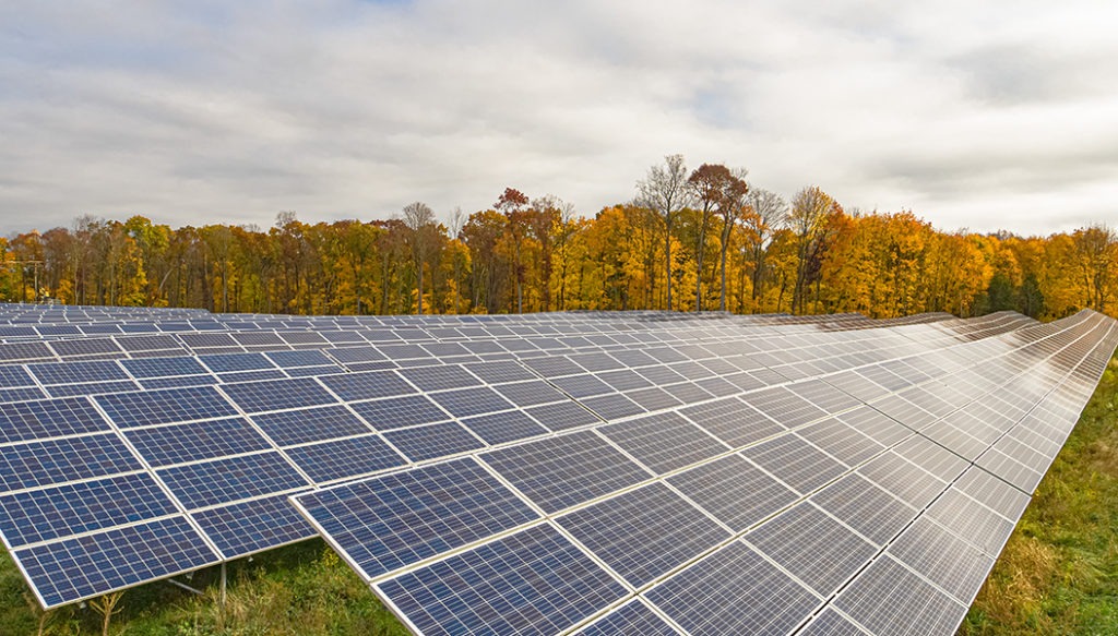 solar panels with trees behind