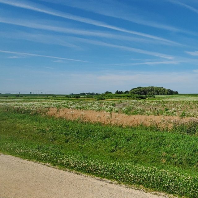 green field with blue sky