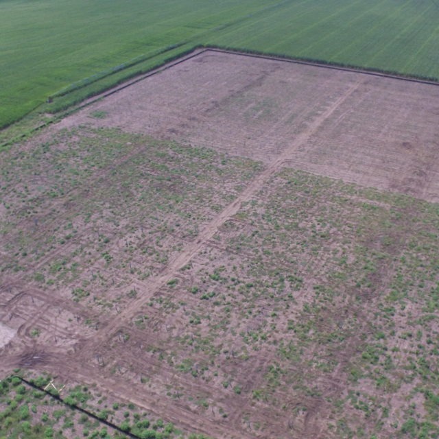 bird's eye view of cleared field