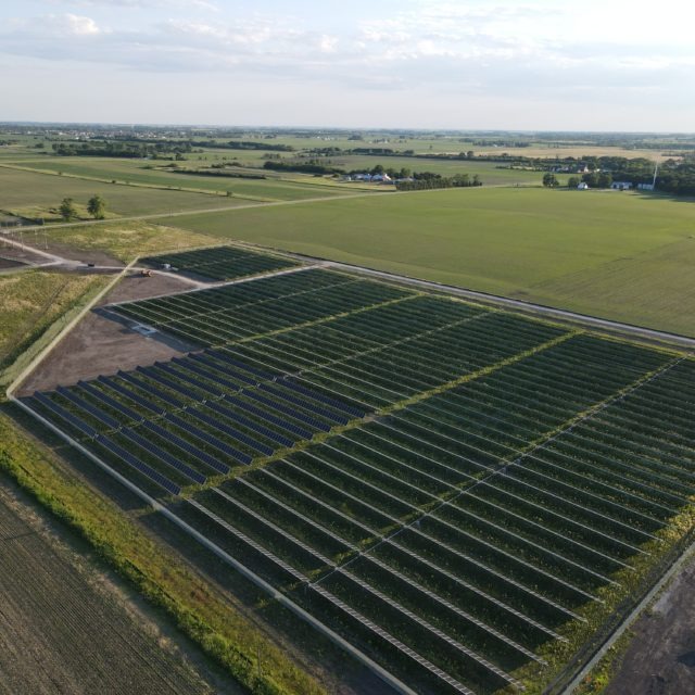 Woodlawn Solar Farm