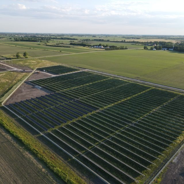 Woodlawn Solar Farm