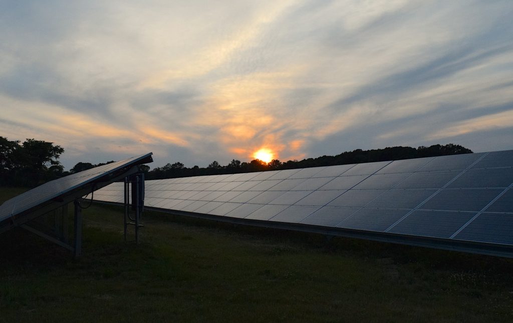 Rows of solar panels in a field under a sunset sky.