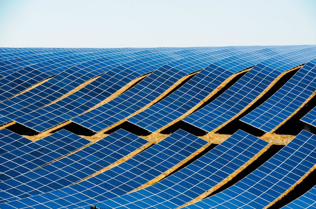 Solar panels in rows at a Community Solar Farm.