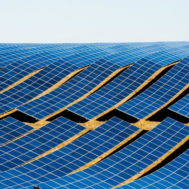 Solar panels in rows at a Community Solar Farm.