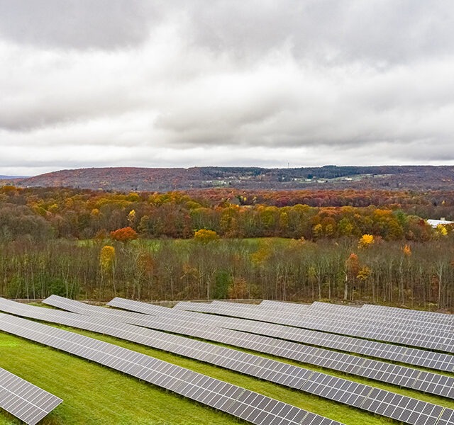 Mt Hope West Solar Farm - 0241