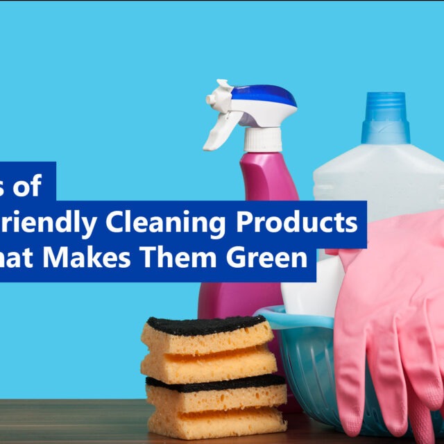 Types of Eco-Friendly Cleaning Products & What Makes Them Green